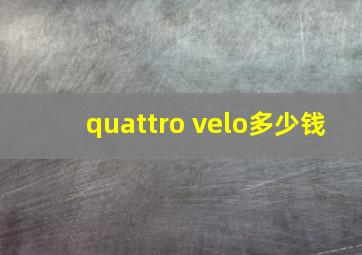 quattro velo多少钱